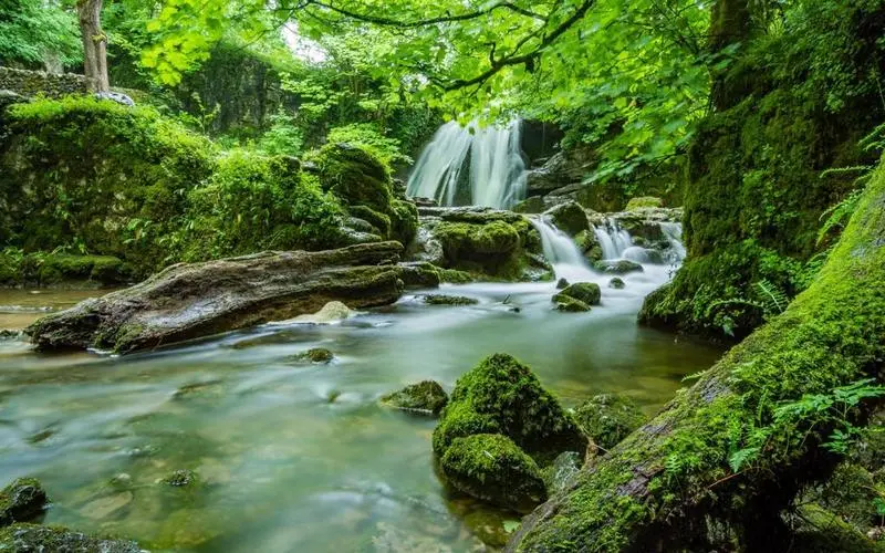 节能高精度自动化